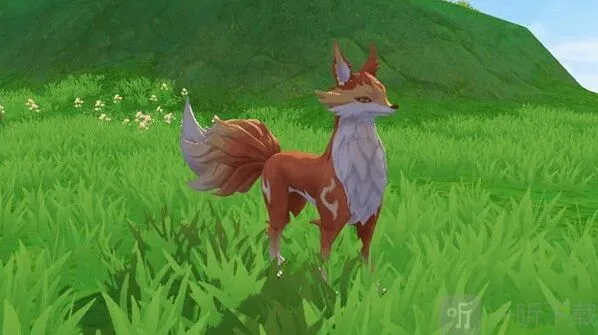 创造与魔法幼月狐饲料配方是什么 幼月狐饲料制作方法分享