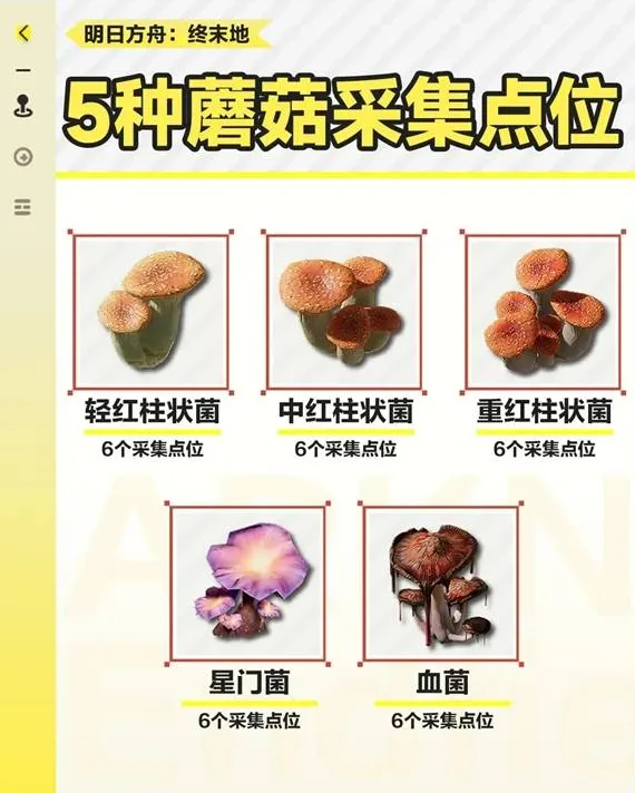 明日方舟终末地明日方舟