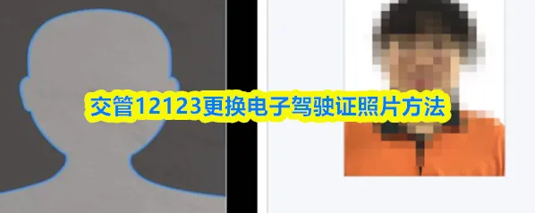 交管12123驾驶人