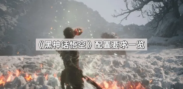 黑神话悟空版本