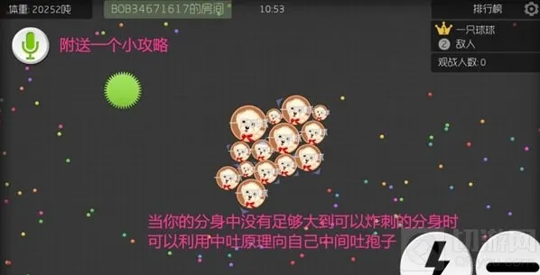 球球大作战排名