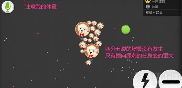 球球大作战增加体重