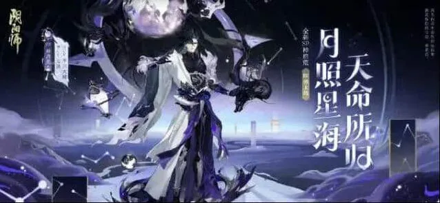 阴阳师查看