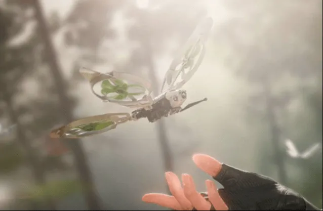 三角洲行动三角洲