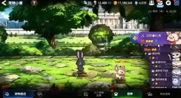 第七史诗宠物技能