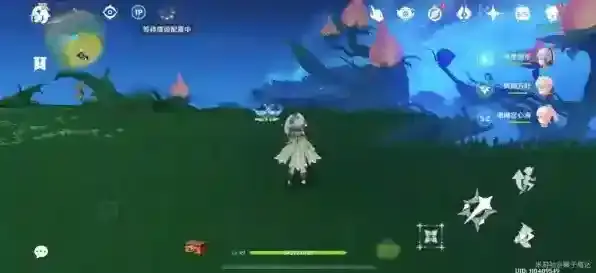 原神官方正版真果