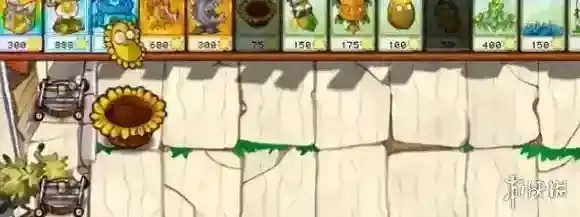 植物大战僵尸杂交版摆放