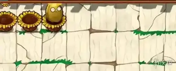 植物大战僵尸杂交版阳光