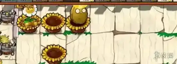 植物大战僵尸杂交版杂交