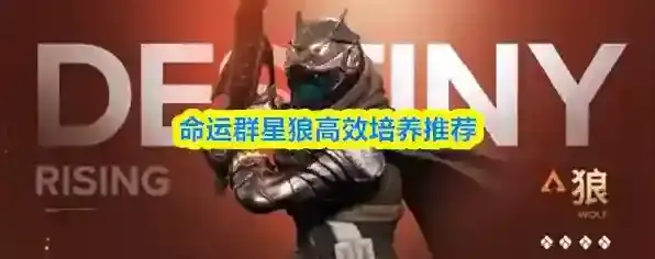 命运群星狼高效培养推荐