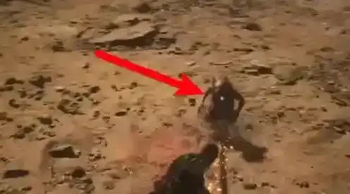 黑神话悟空二郎