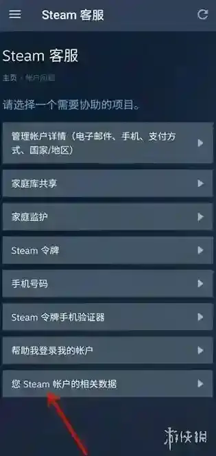 Steam蒸汽平台