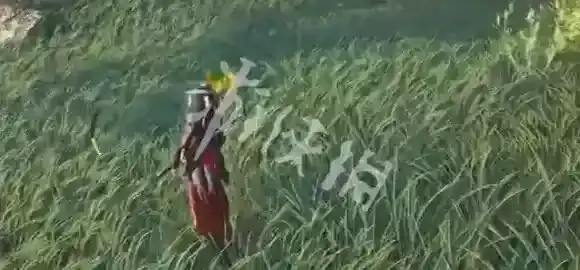 燕云十六声曲岸