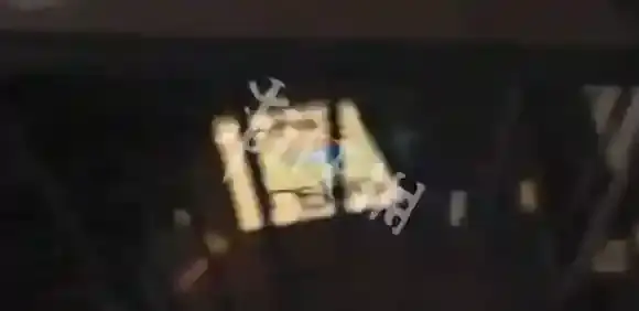 最后的星期一加菲猫