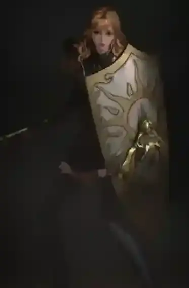 地下城堡4:骑士与破碎编年史玩家