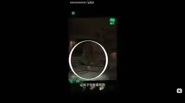 纸嫁衣8千子树缪斯