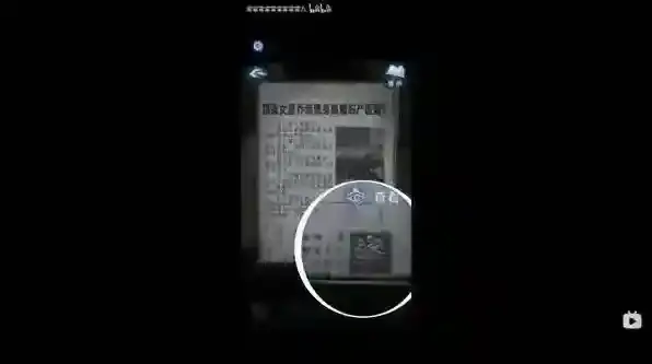 纸嫁衣8千子树嫁衣