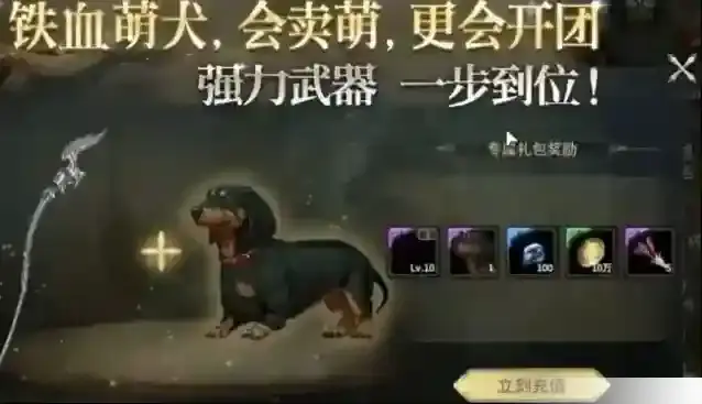 奇迹世界：起源玩家