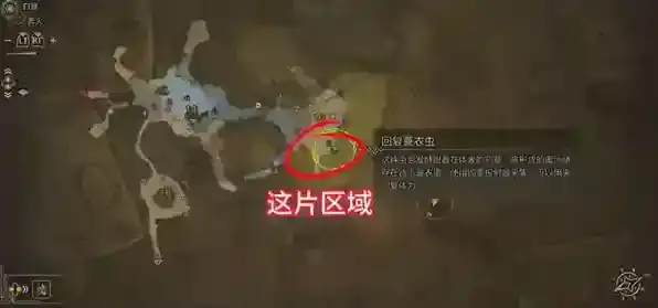 怪物猎人荒野任务攻略