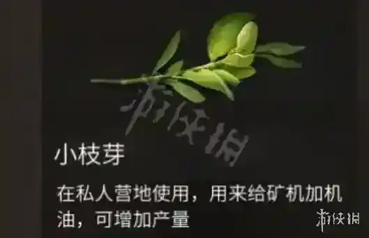 明日之后小枝芽怎么获得 明日之后小枝芽获得方法