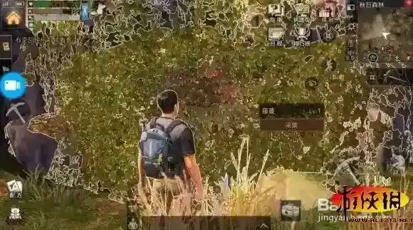 明日之后秋日森林怎么寻宝 秋日森林隐藏洞穴