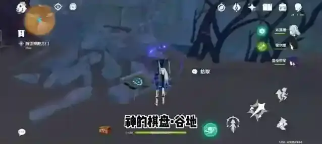 米哈游原神神的棋盘