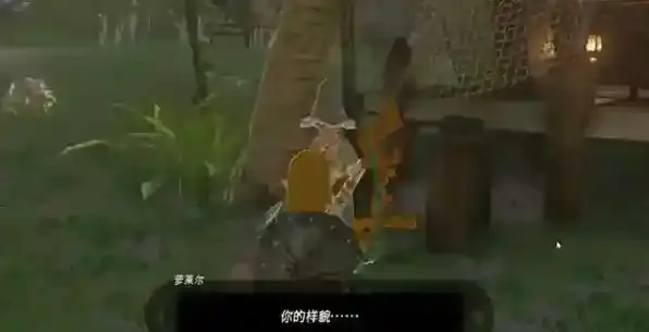 塞尔达传说王国之泪玩家