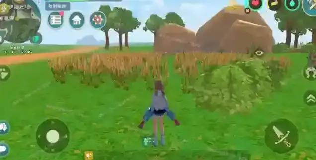 创造与魔法东星斑鱼食谱一览