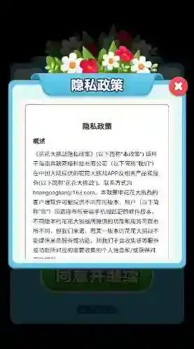 花花大挑战消除