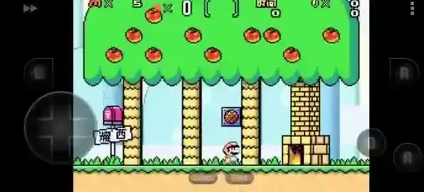 超级马里奥A2马里奥