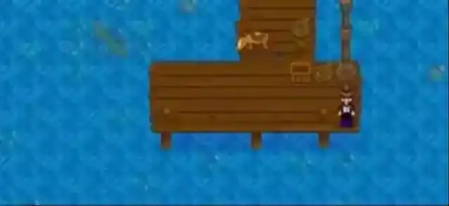 星露谷物语黑色