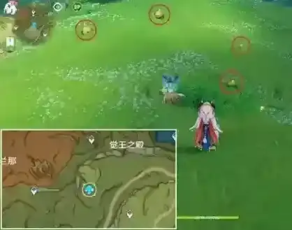 原神小蕈猪位置大全