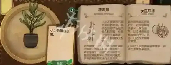 游侠网87