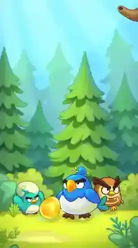 萌鸟总动员小鸟