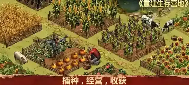 重建生存营地探索