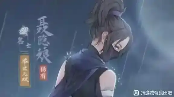 这城有良田能力