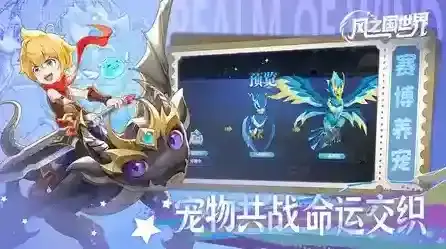 风之国世界玩家