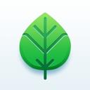 绿叶加速器app应用2026-绿叶加速器app官方最新版Androidv1.0 安卓版