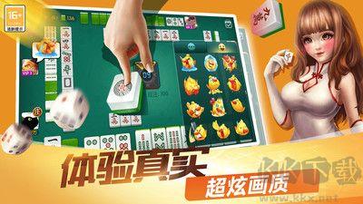 天天爱临沧麻将手游截图2
