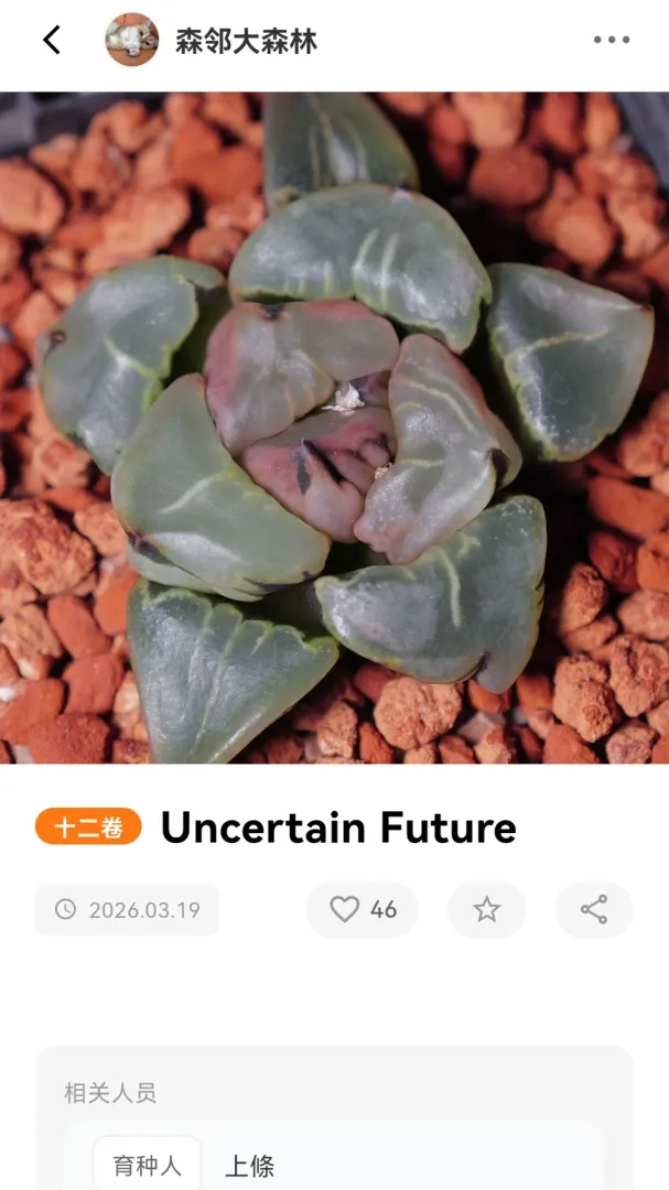 园艺圈(植物园艺交流)应用截图4