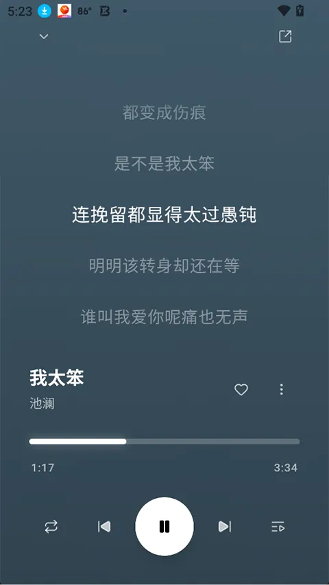 ottermusic水獭音乐2026官方最新版本应用截图1