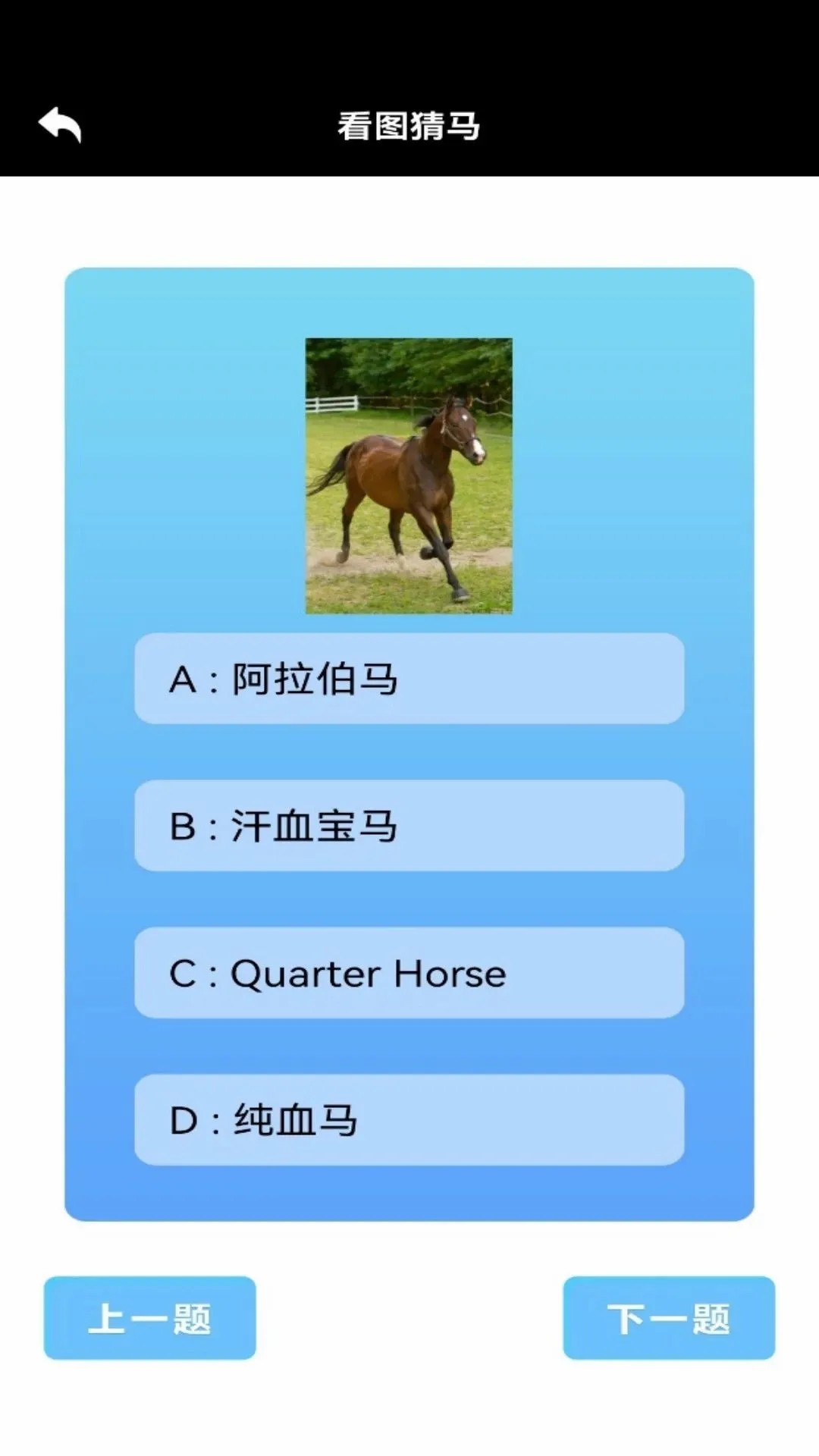 嘿马陶陶2026最新版本手游截图3