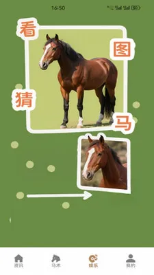 嘿马陶陶2026最新版本手游截图4