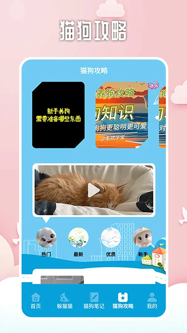 找下猫找下狗2026最新版本手游截图4