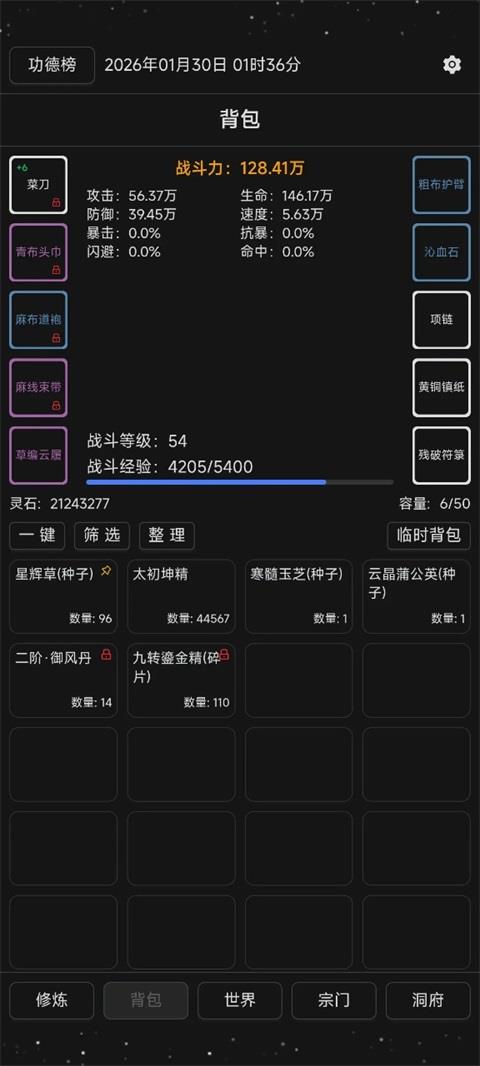 简陋修仙手游截图3