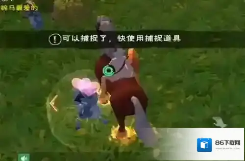 创造与魔法宠物