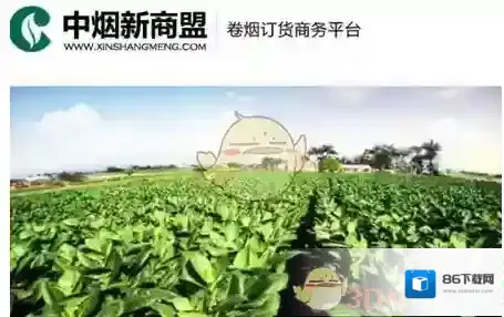 《新商盟》网上订烟每周安排时间介绍