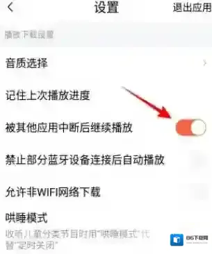 喜马拉雅fm怎么设置不被其它应用中断播放