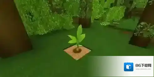 迷你世界树苗