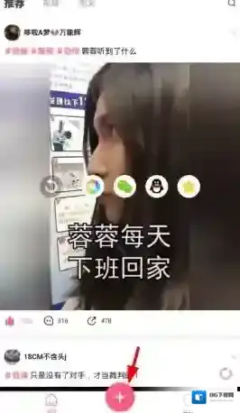 皮皮虾图片